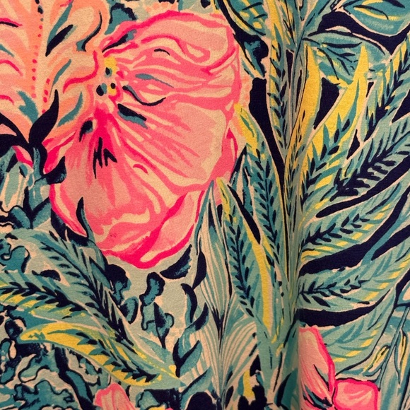 Lilly Pulitzer GUC Size M Classic Lilly Pink & Blue Long Sleeve Dress (0620) - Picture 9 of 12